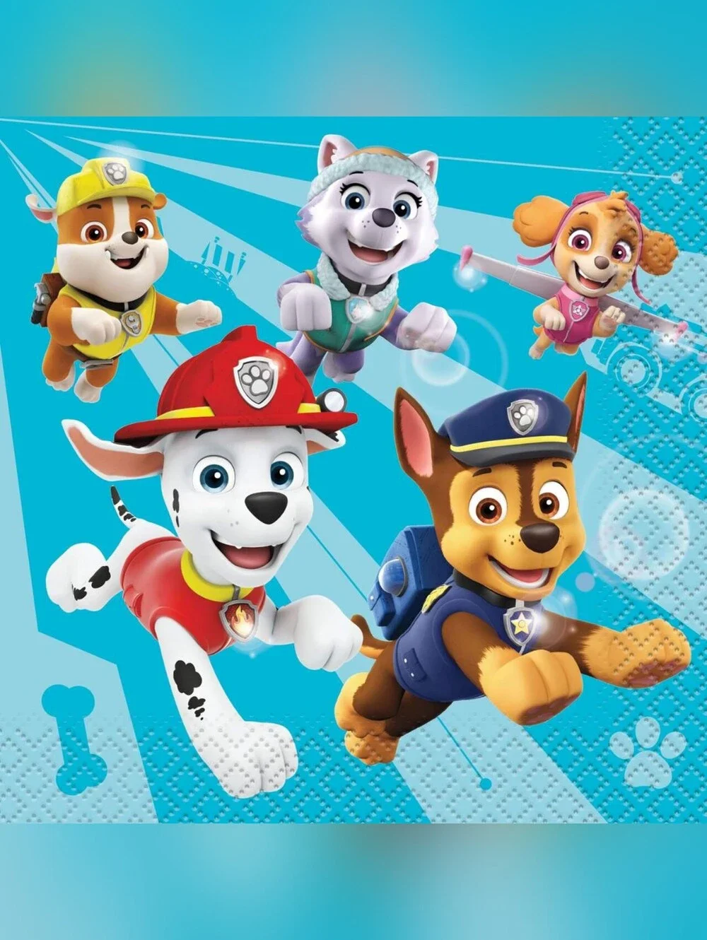 Paw Patrol Party Box!